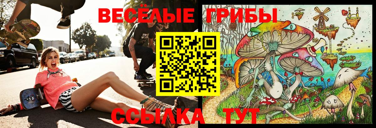 Псилоцибиновые грибы Psilocybe Богородск