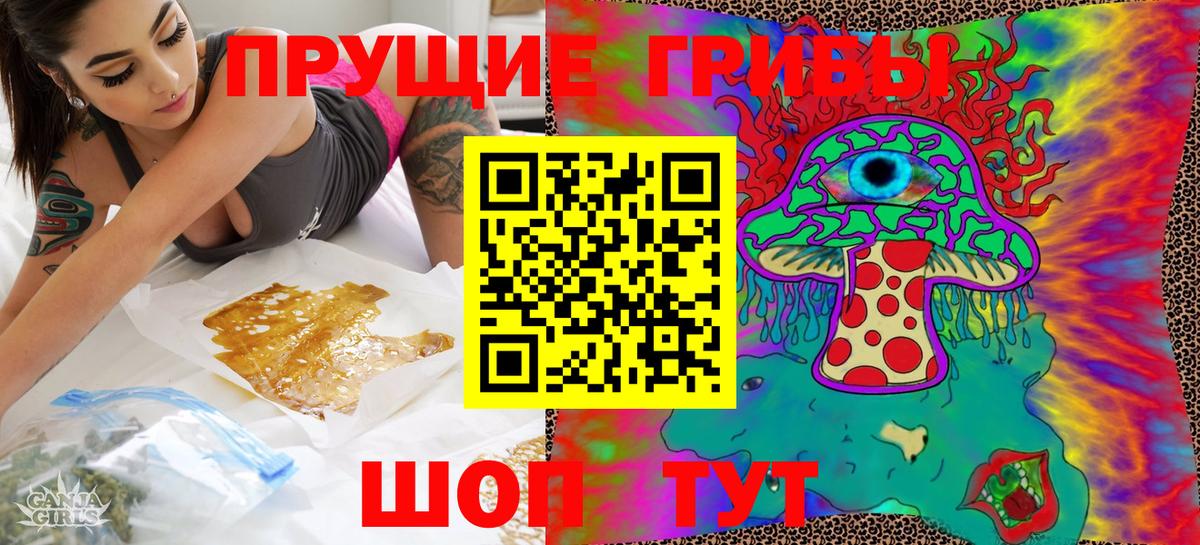 Псилоцибиновые грибы GOLDEN TEACHER  наркошоп  Богородск  Вход с VPN  Псилоцибиновые грибы Psilocybine cubensis 